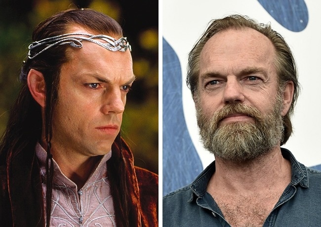 Elrond (Hugo Weaving). Hugo Weaving a interpretat rolul agentului Smith în trilogia Matrix, precum și un rol în V de la Vendetă.