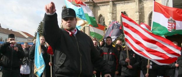 csibi barna