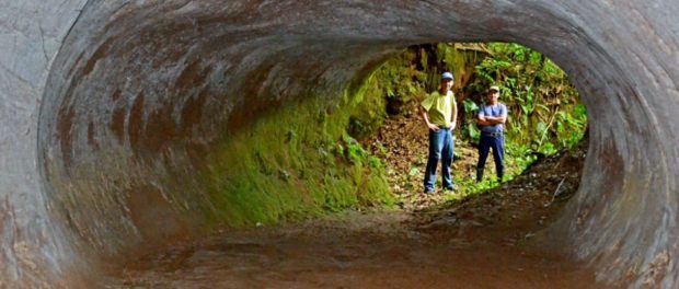 paleoburrow_1024