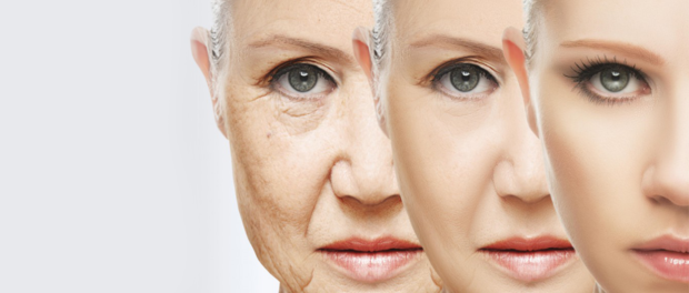 aging-book