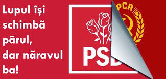 psd 7