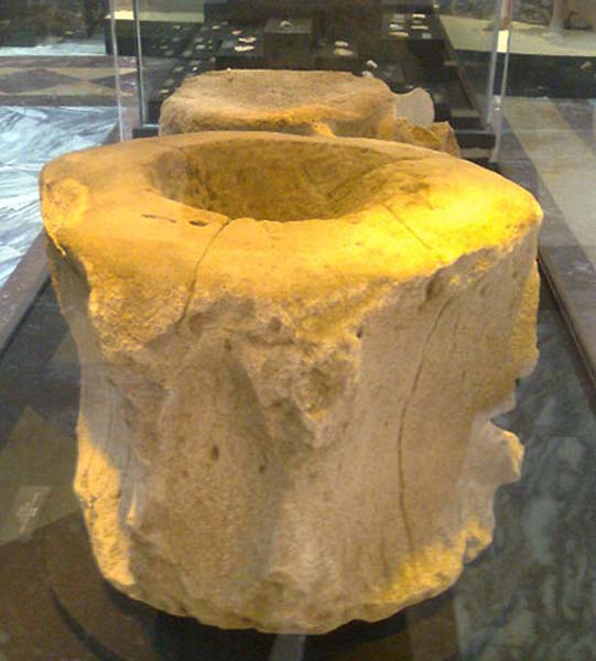 Vertebrele de balenă albastră erau folosite drept... scaune (artefact antic - Civilizatia Norte Chico)