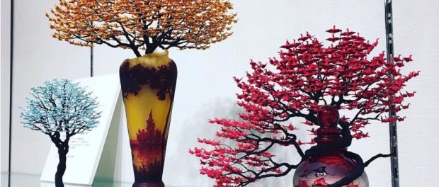 bonsai
