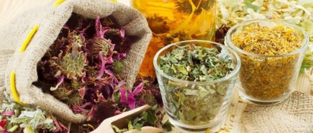 plante medicinale