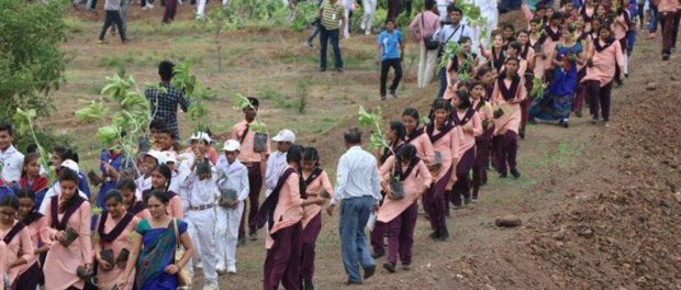 madhya-pradesh-government-trees
