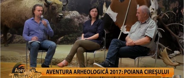 poiana ciresului 4