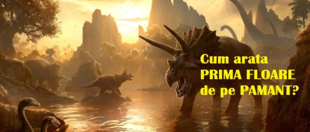 PRIMA floare de pe pamant