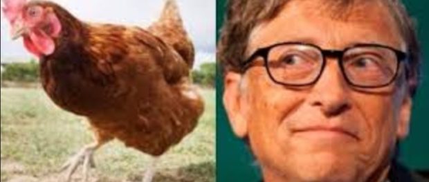 bil gates gaina 2