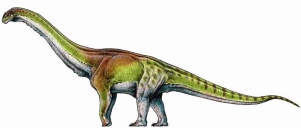 cel mai mare dinozaur