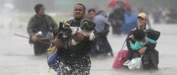 powerful-photos-hurricane-harvey-texas-72-59a52148a00d8__700