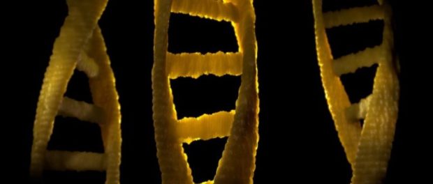 darkdna