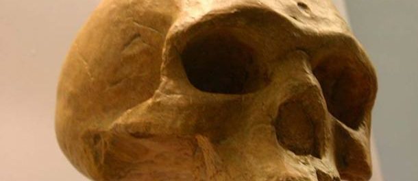 florsibad-Homo-heidelbergensis
