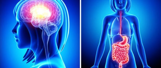 gut-brain-connection-767x475