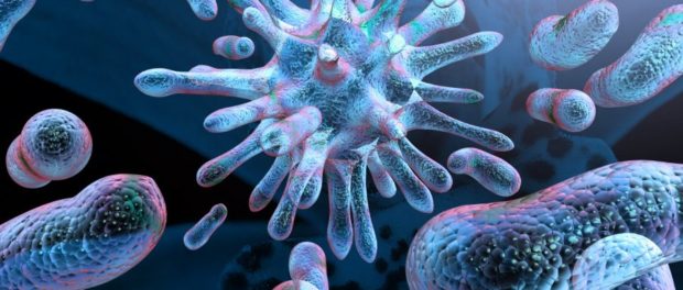 mostbacteriaunknown11