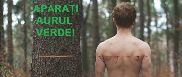 Aurul verde