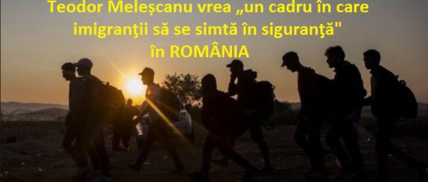 Meleascanu imigranti
