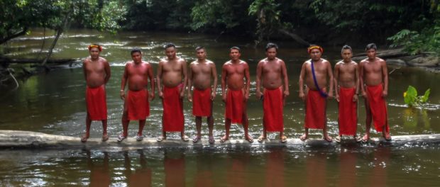 Tribul Waiapi