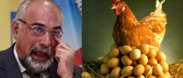 vosganian gaina