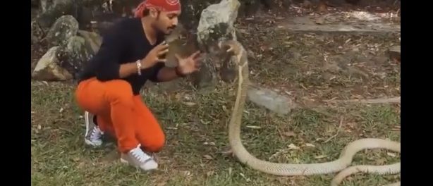 COBRA 2
