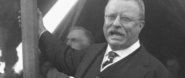 President Teddy Roosevelt