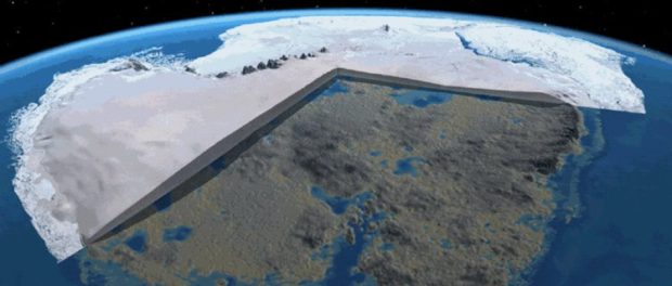 forestantarctica2