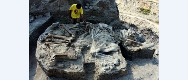 mamut 1