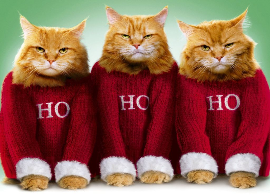 10-grumpy-cats-christmas-cards