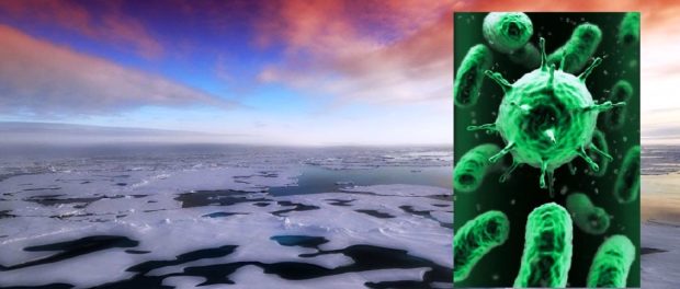 Antarctica, bacterii