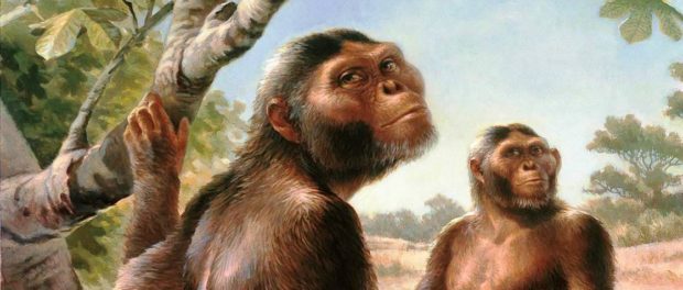 Austrtalopithecus, Little Foot
