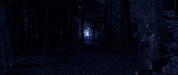 Will_o_the_wisp_by_fladdermuuus