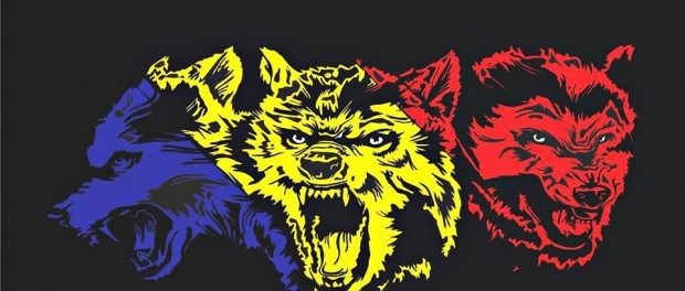 lupi-tricolori-620x350