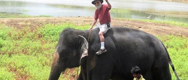 om pe elefant