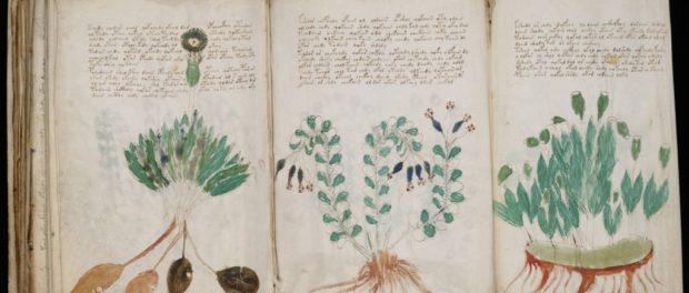 03-voynich-manuscript