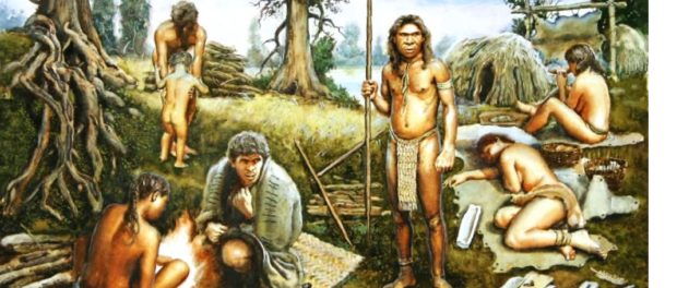 Homo sapiens