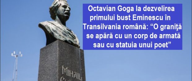 goga eminescu