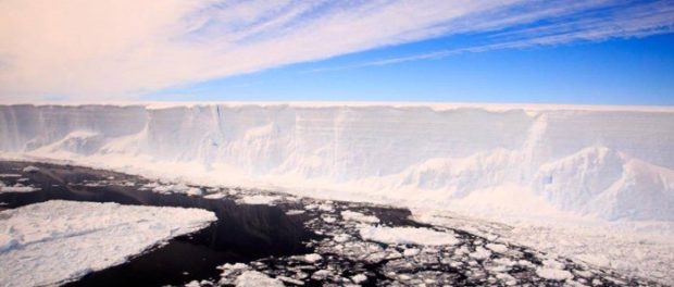 142-iceberg-larsen-a-68-hidden-ecosystem-1