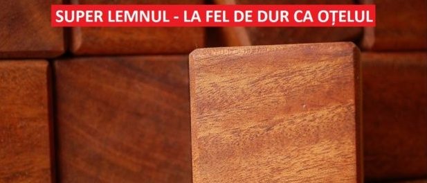 SUPER LEMNUL 1