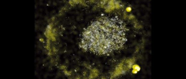 extra_large-1517937198-cover-image
