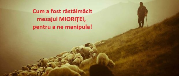 miorita 1