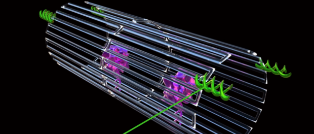 nanoroboti
