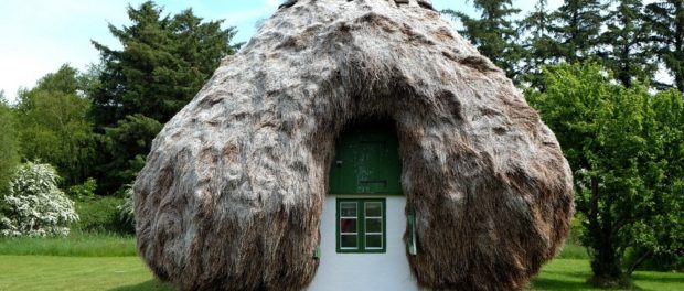 seaweed-roof-laeso-46