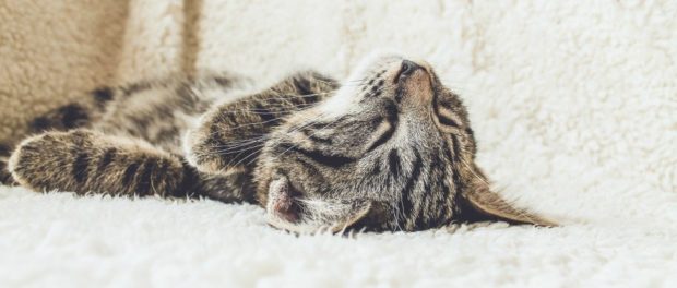 erik-jan-leusink-104677-unsplash_1_1024