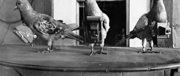 neubronner-pigeon-photography-152