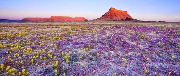 platoul colorado
