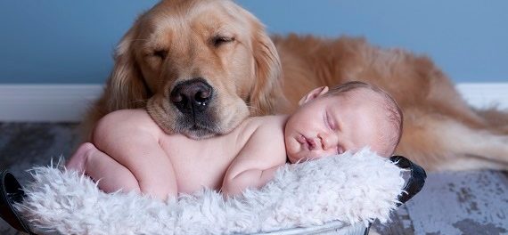 Dog and Baby Nap Together