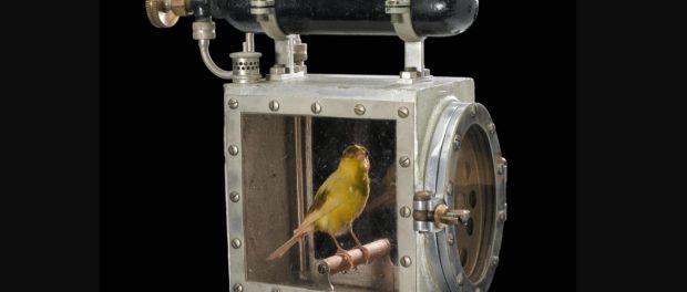 detector cu canar