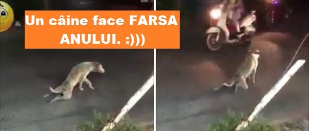 farsa anului