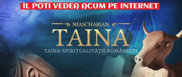 BANNER TAINA