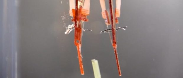 Video-Robotofingers-muscletissue.png