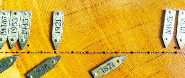 tree_ring_timeline_1024